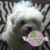 Krissy Smith's profile image