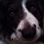 Kathy Stammer Fink's profile image