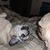 Terri Lee Vivian Pierceall's profile image
