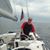 Martin Young's profile image