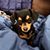 Kelly June Wilkey's profile image