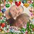 Maria Duprey's profile image