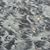 Susan Plourde's profile image