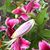 Patty Freer's profile image