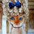 Ann De Savigny's profile image
