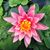 Laura Pager's profile image