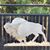 Brenda Murphy Crawford's profile image