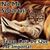 Miriam Magana's profile image