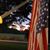 Renee Hilliard Gray's profile image