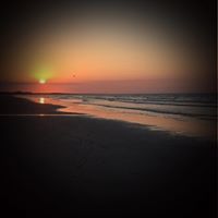 Beth Peterson's profile image