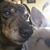 Michelle Hyllested's profile image
