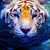 Cat Lubin's profile image