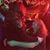 Paull Wulffson's profile image