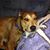 Stephanie Martin Lakey's profile image