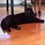 Kelly Corrigan Richards's profile image