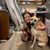 Samantha Gonnelly's profile image