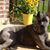 Laura Robertson Jones's profile image