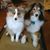 Karen Kelly Parsons's profile image