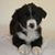 Cyn Paula Dunlop's profile image