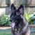 Cynthia Rowe-Fowler's profile image