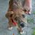 Jay Nygaard's profile image
