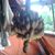 Nhat Van's profile image