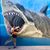 Ashley Simkins's profile image
