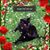 Kittie Page's profile image