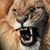 David Mark Leon's profile image