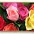 Floral Concepts's profile image