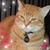 Carolyn Matheson's profile image