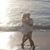 Crystal Stewart's profile image