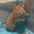 Susan Young's profile image