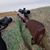 Jake Sheffield's profile image