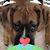 Shana Rodriguez's profile image