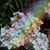 Linda Miller's profile image