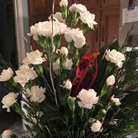 Karen Hall's profile image