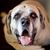 Mark Bingle's profile image