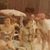 Tena Anderson Baehm's profile image
