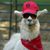 Joshua Llama Grant's profile image