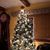 Liz Fotopoulos's profile image