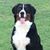 Brenda Hannah's profile image