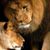 Kim Winchell's profile image