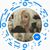 Cheri Ostler Hartley's profile image