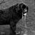 Douglas Semack's profile image