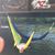 Brian Linee's profile image