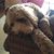 Chris Hallad Franz's profile image