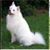 Jeanne Pasero's profile image