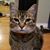 Amanda Soethe's profile image