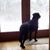 Holly Carner's profile image